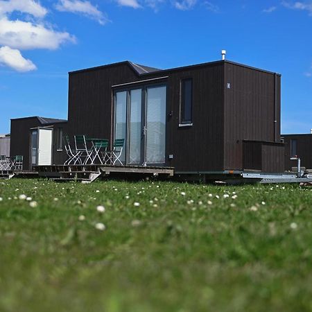Tiny House Nature 8 Innenlage - Green Tiny Village Harlesiel Carolinensiel Eksteriør billede
